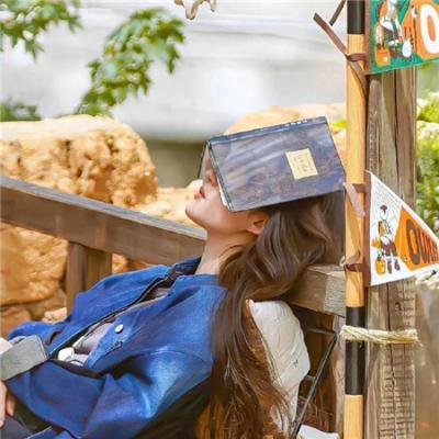 双旗镇刀客 在线观看